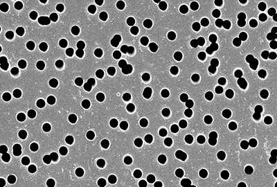 Polycarbonat-Membranfilter (PC) von Promarsa GmbH