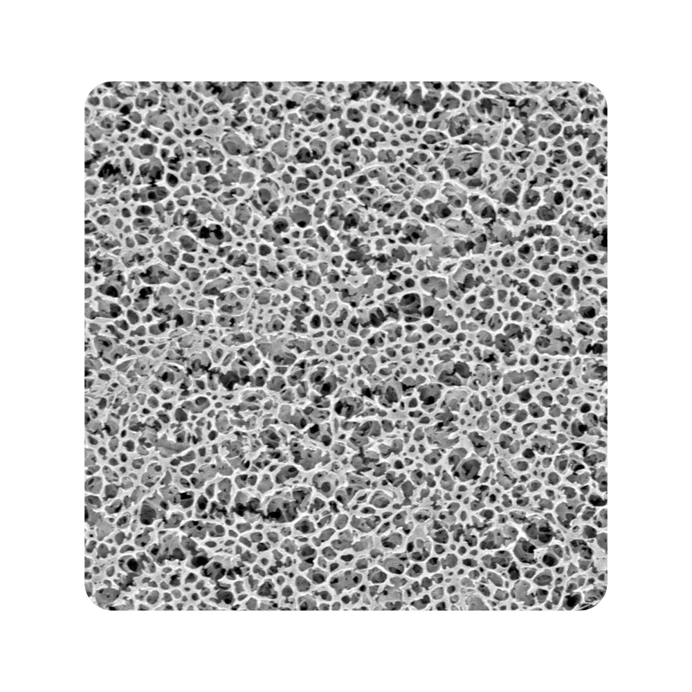 PVDF Membrane von Promarsa GmbH